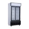 CHILLER 400L 2DOORS